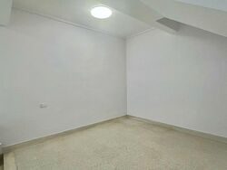 Lowland Road (D19), Terrace #509277851